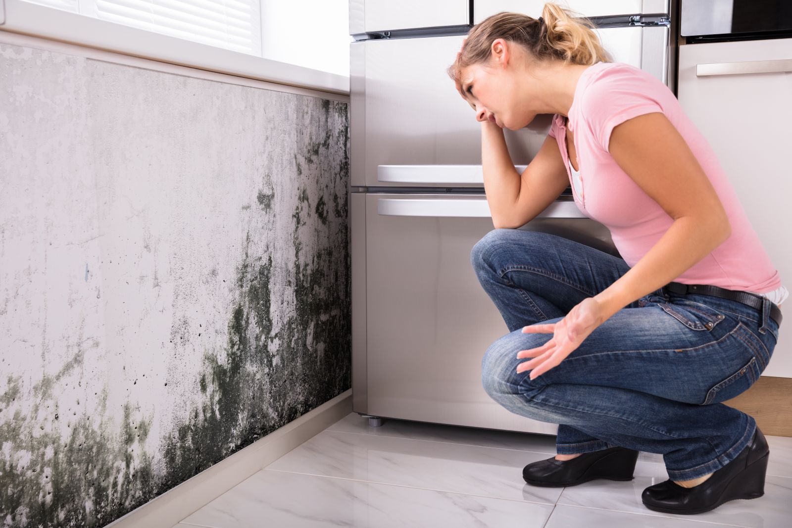 Mold Damage Solutions: We've Got You Covered Every Step of the Way Image